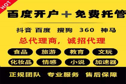 成功案例分享：SEM竞价代运营策略解析